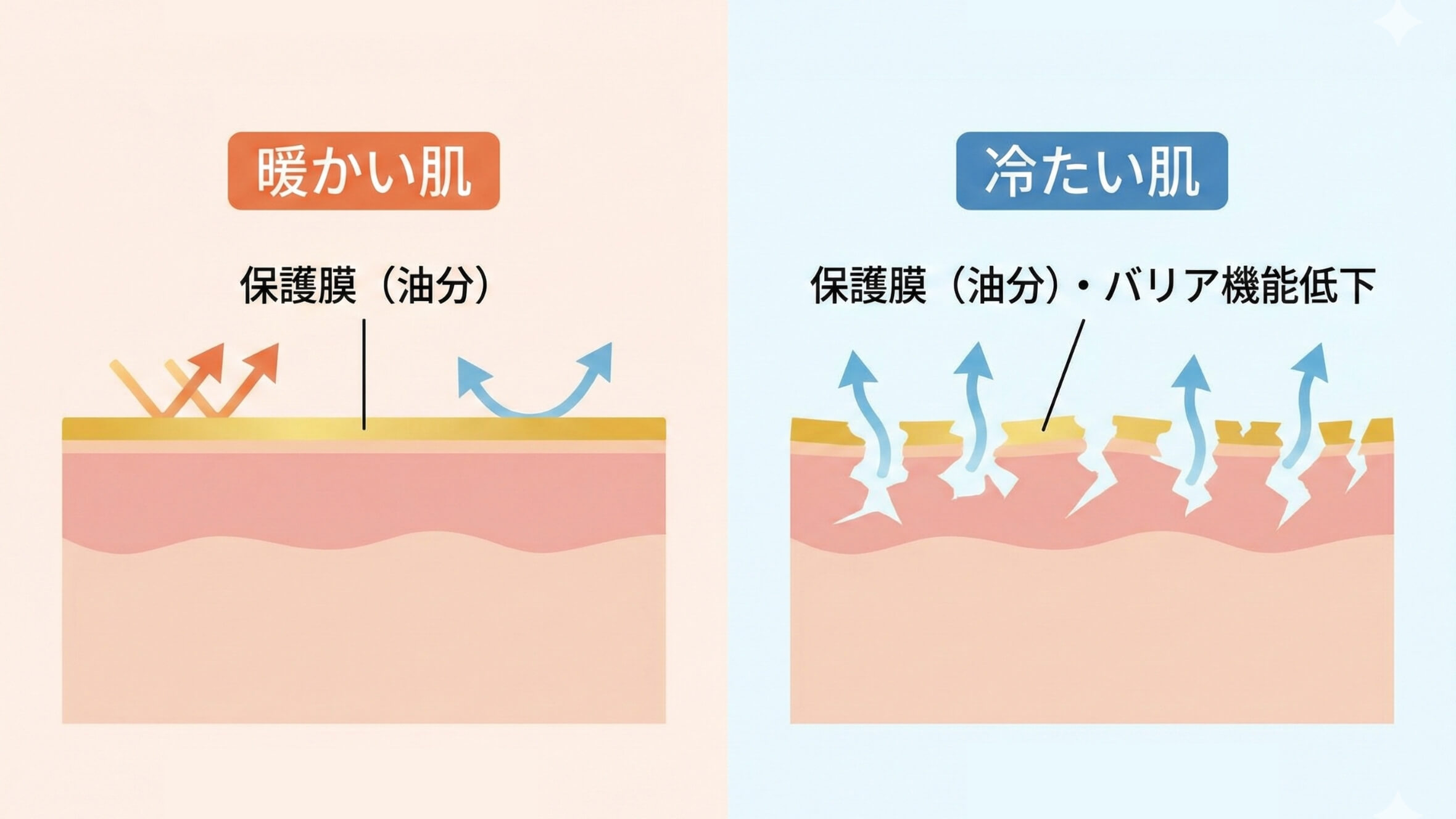 皮脂と温度の関係
